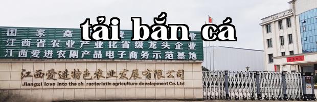 Về chúng tôi