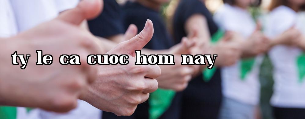 Đây là thông tin mô tả